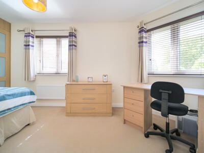 Picture 12
